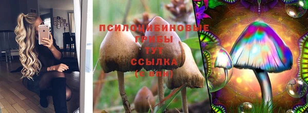 крисы Богданович