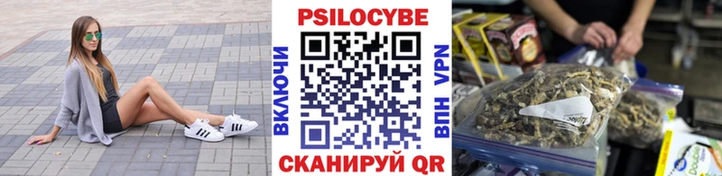 Галлюциногенные грибы Cubensis  Новая Усмань 