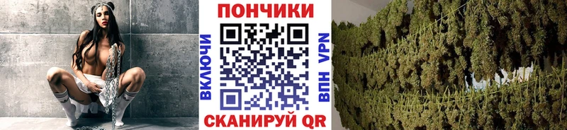 Бошки Шишки OG Kush  купить  сайты  Новая Усмань 